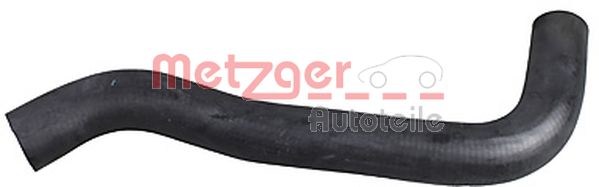 Radiator Hose (2421048)