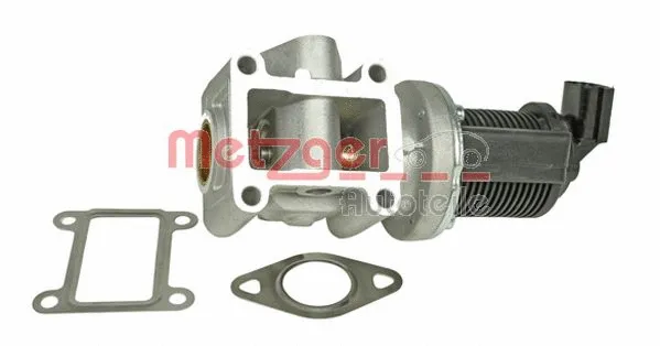 EGR Valve (0892504)