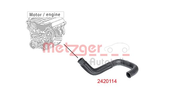 Radiator Hose (2420114)