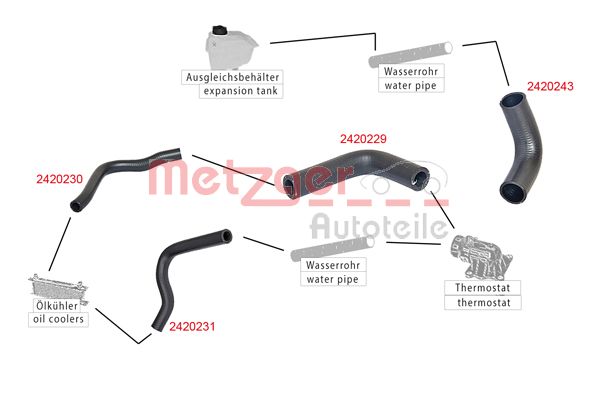 Radiator Hose (2420231)