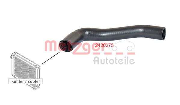 Radiator Hose (2420275)