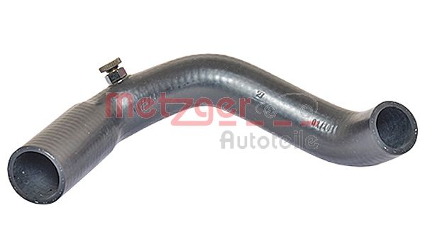 Radiator Hose (2420366)