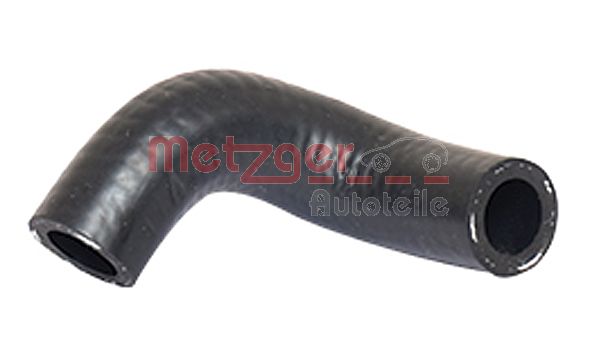 Radiator Hose (2420015)