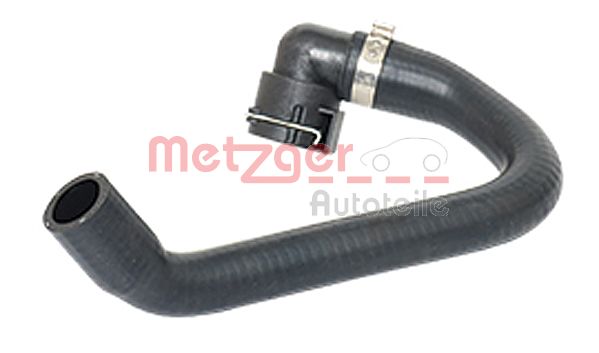 Radiator Hose (2420181)