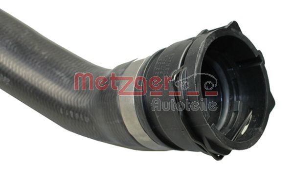 Radiator Hose (2420607)