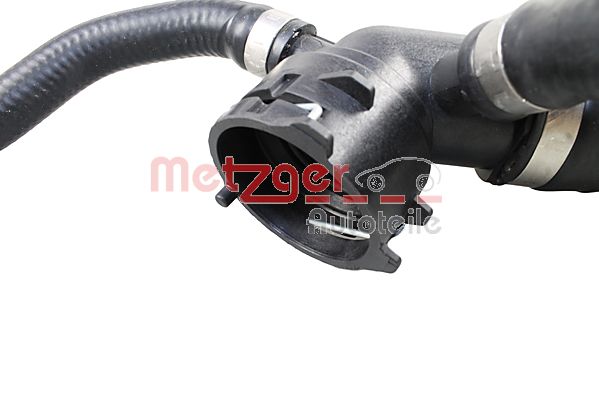 Radiator Hose (2420734)