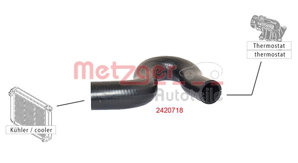 Radiator Hose (2420718)