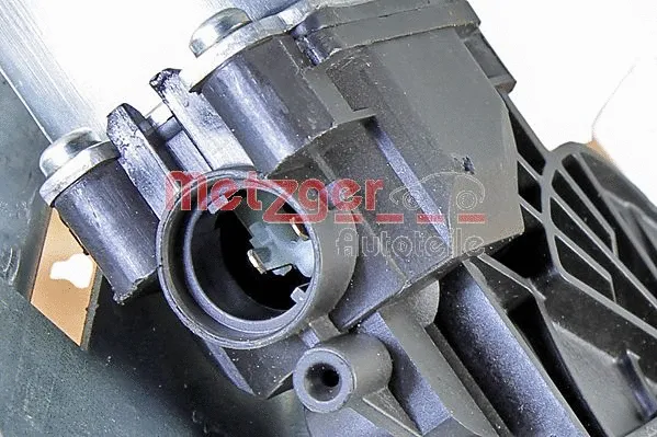 Window Regulator (2160533)