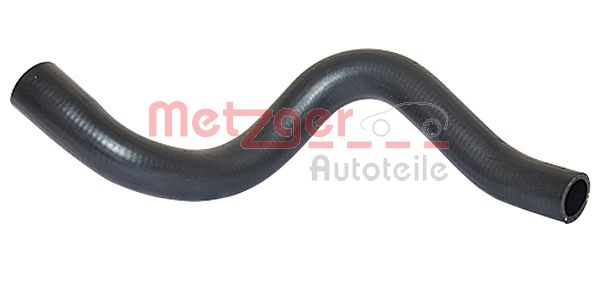 Radiator Hose
