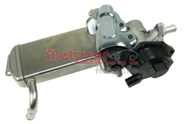 EGR Module