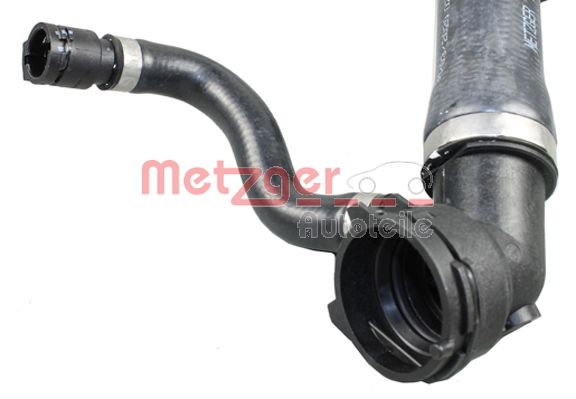 Radiator Hose (2420773)