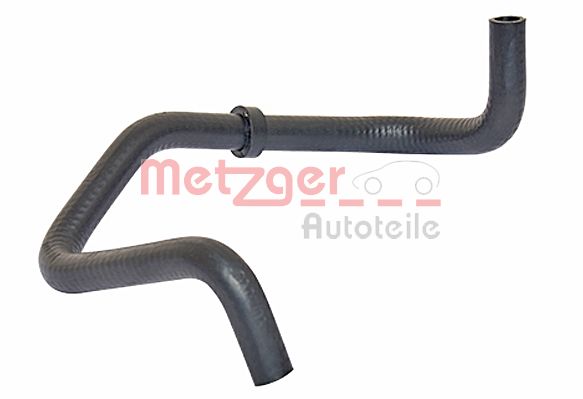 Radiator Hose (2420342)