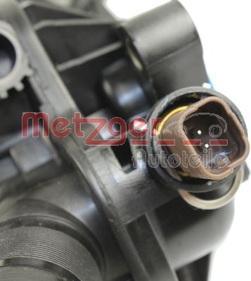 Thermostat, coolant