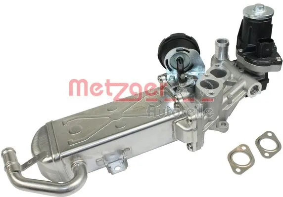 EGR Module
