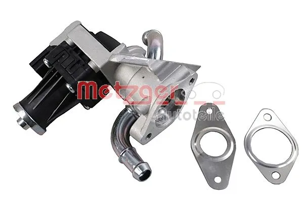 EGR Valve (0892620)
