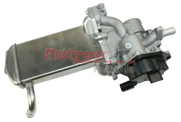 EGR Module