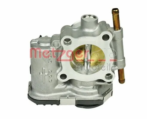 Throttle Body (0892594)