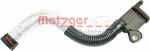 Hose, crankcase ventilation