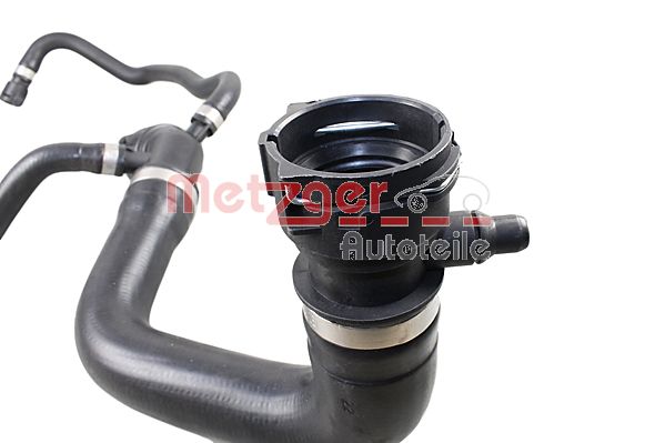 Radiator Hose