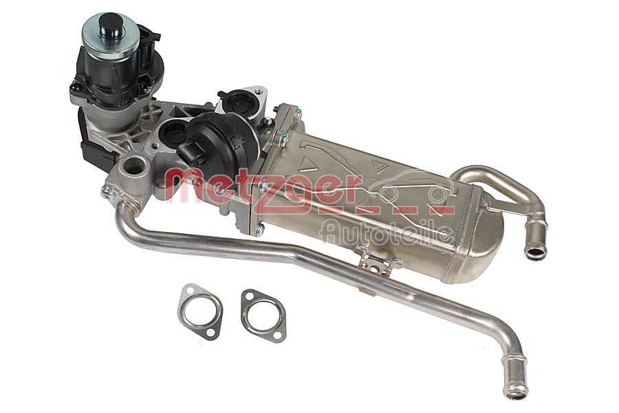 EGR Module
