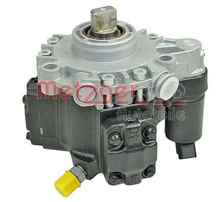 High Pressure Pump (0830044)