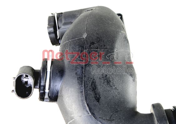 Coolant Pipe (4010212)