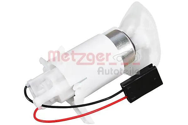 Fuel Pump (2250539)