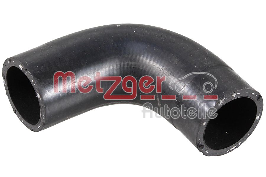Radiator Hose (2421598)