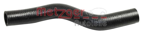 Radiator Hose (2420813)