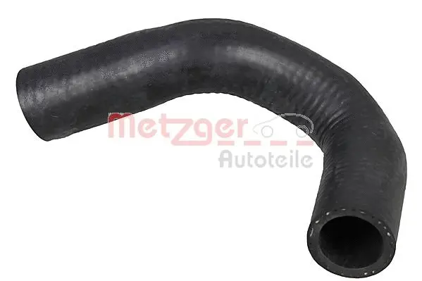 Radiator Hose (2421185)