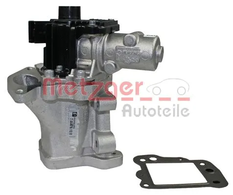 EGR Valve (0892074)