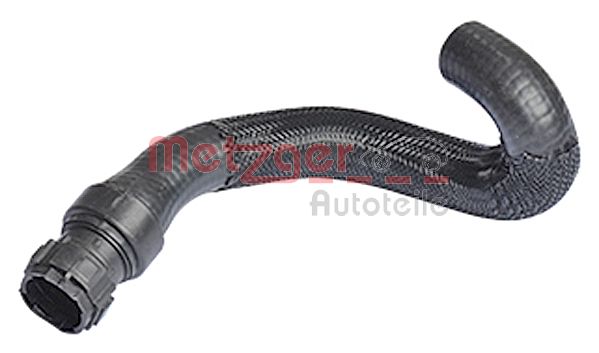 Radiator Hose
