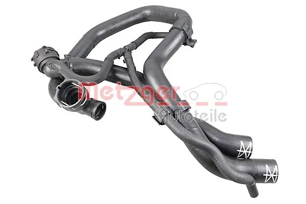 Radiator Hose