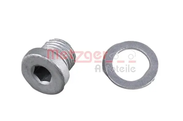 Screw Plug, oil sump (8030058)