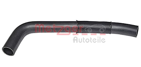 Radiator Hose (2420320)