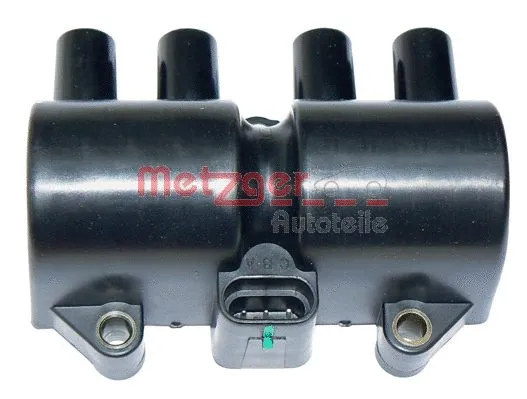 Ignition Coil (0880095)