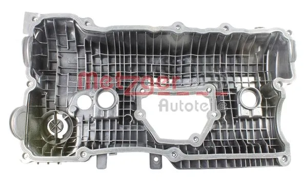 Cylinder Head Cover (2389131)