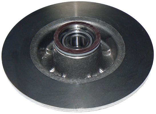 Brake Disc (6110012)