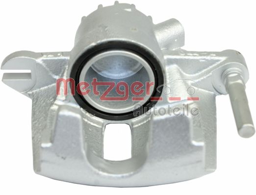 Brake Caliper (6250276)