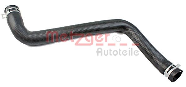 Radiator Hose (2420765)