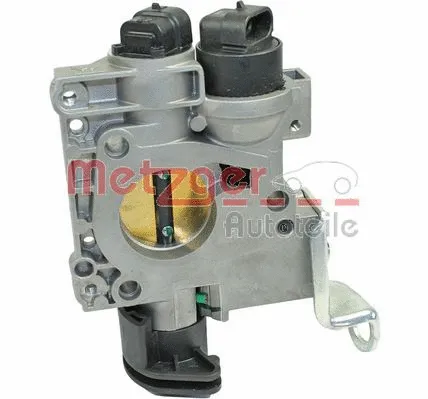 Throttle Body (0892483)