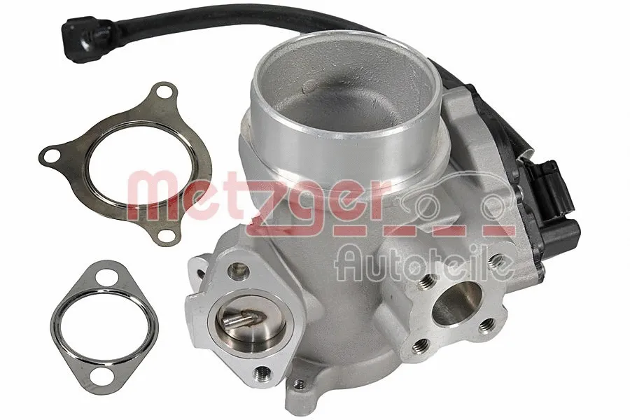 EGR Valve (0892989)