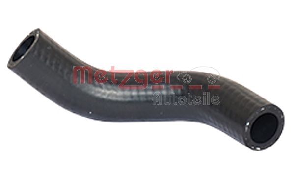 Radiator Hose (2420161)