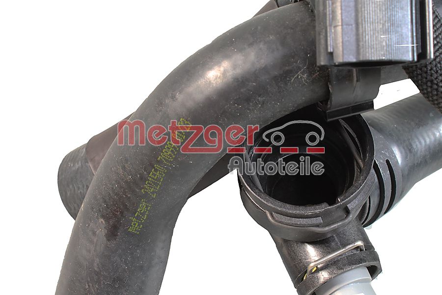 Radiator Hose