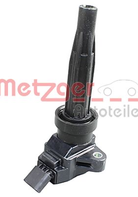 Ignition Coil (0880487)