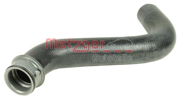 Radiator Hose (2420814)