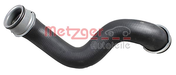 Radiator Hose (2420343)