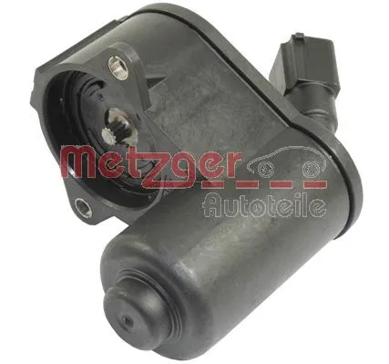 Control Element, parking brake caliper