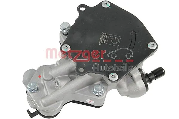 Vacuum Pump, braking system (8010160)