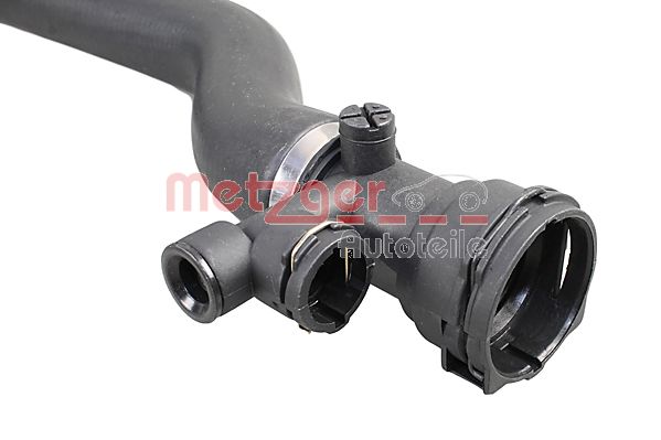 Radiator Hose (2420906)